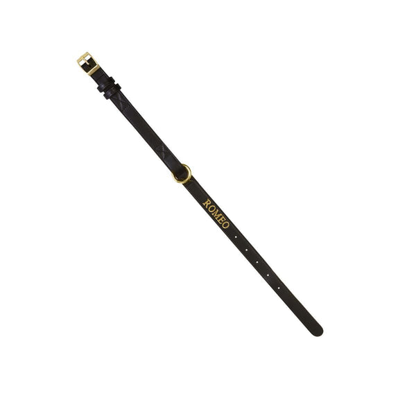 Black Extra Small Dog Collar