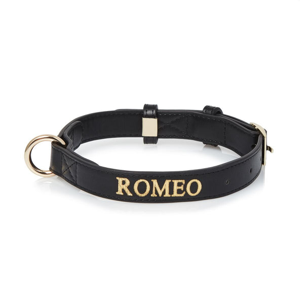 Black Extra Small Dog Collar