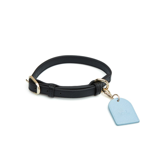 Blue Pooch Tag