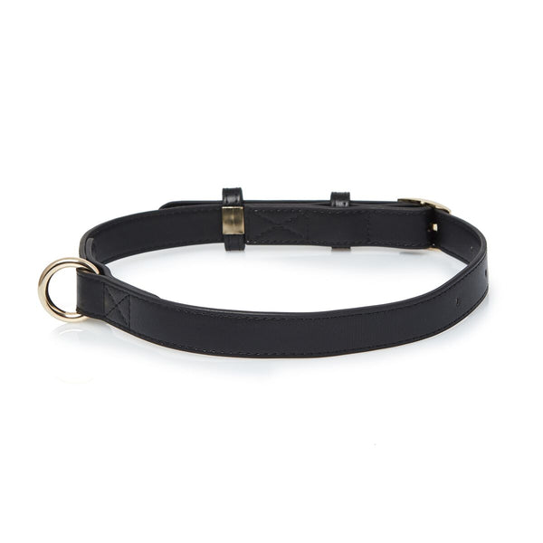 Black Medium Dog Collar